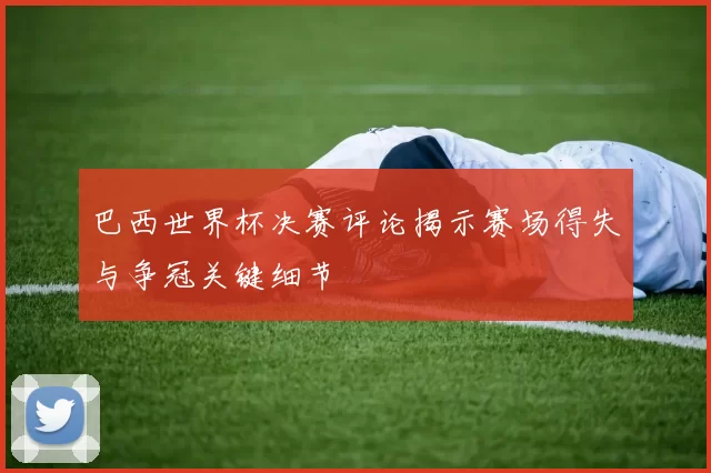 巴西世界杯决赛评论揭示赛场得失与争冠关键细节