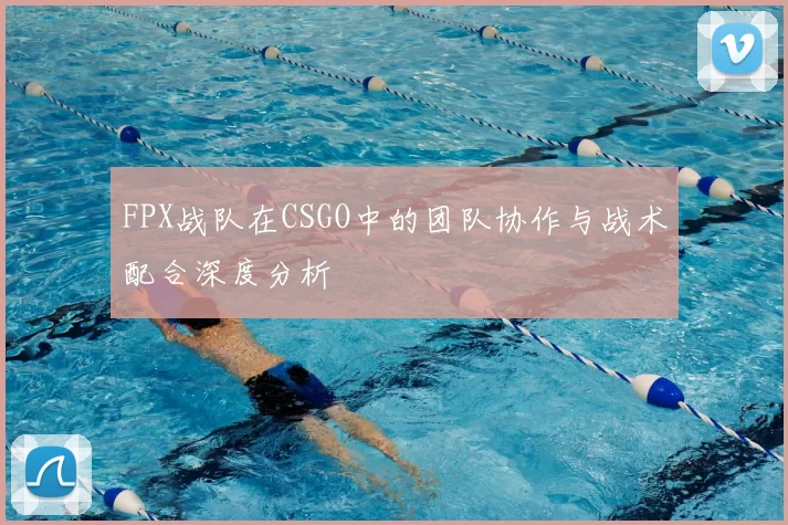 FPX战队在CSGO中的团队协作与战术配合深度分析