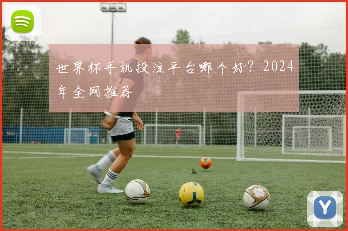 世界杯手机投注平台哪个好？2024年全网推荐