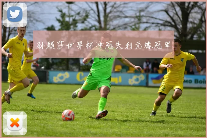 孙颖莎世界杯冲冠失利无缘冠军