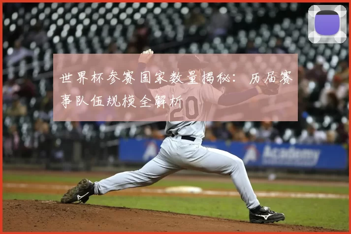 世界杯参赛国家数量揭秘:历届赛事队伍规模全解析