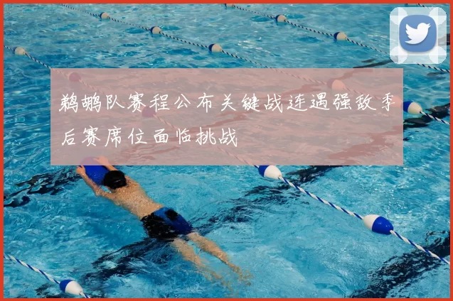 鹈鹕队赛程公布关键战连遇强敌季后赛席位面临挑战