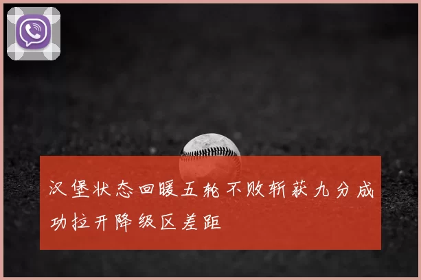 汉堡状态回暖五轮不败斩获九分成功拉开降级区差距
