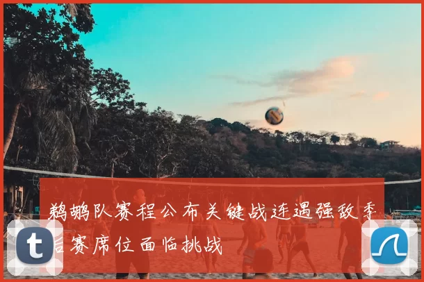 鹈鹕队赛程公布关键战连遇强敌季后赛席位面临挑战