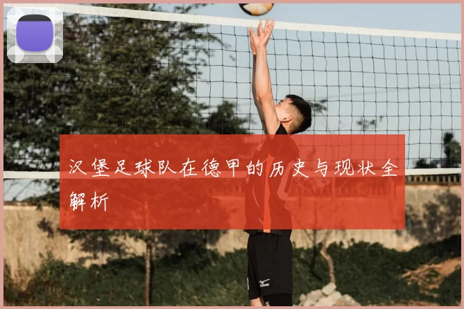 汉堡足球队在德甲的历史与现状全解析