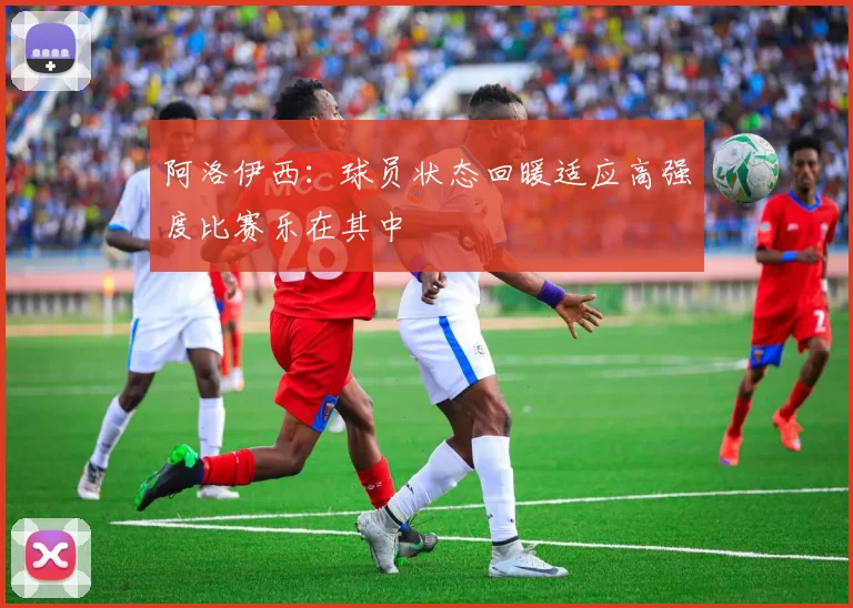 阿洛伊西：球员状态回暖适应高强度比赛乐在其中