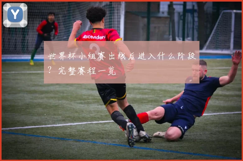 世界杯小组赛出线后进入什么阶段？完整赛程一览