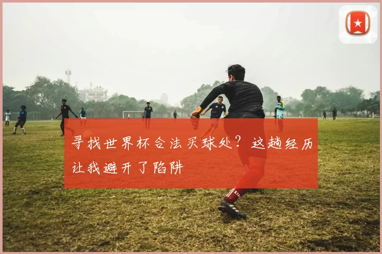 寻找世界杯合法买球处？这趟经历让我避开了陷阱