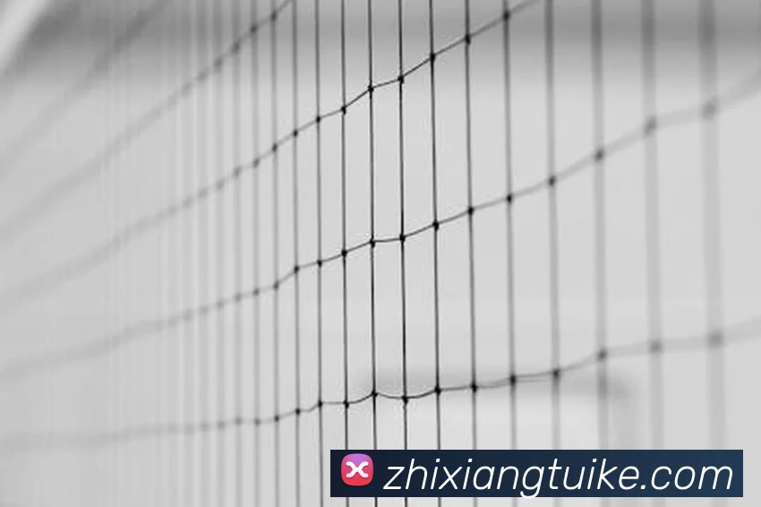 线上买球APP 封面图